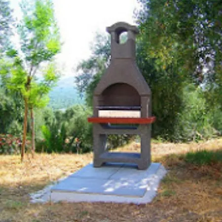 Rinaldi * 비에스테