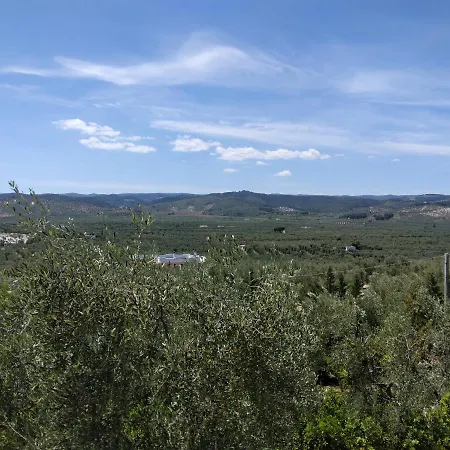 Rinaldi
